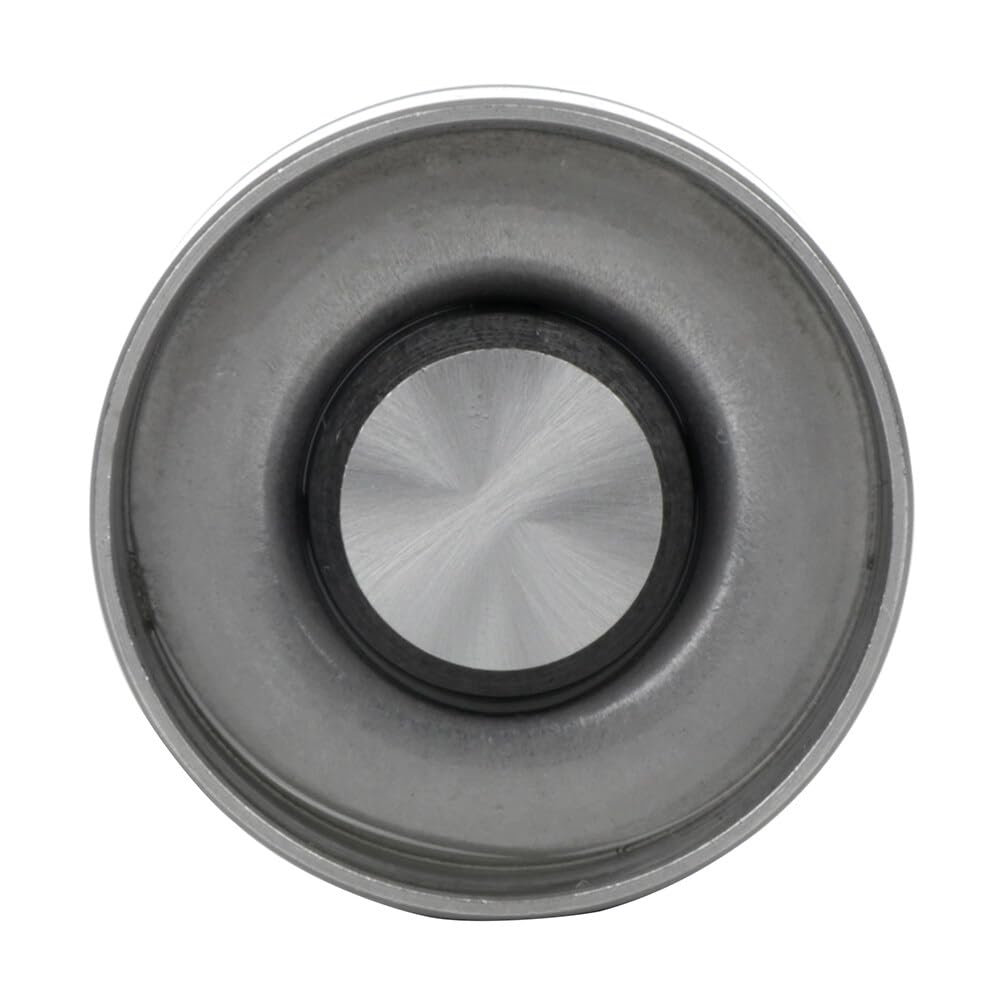 ROADFAR 4 Pack Hydraulic Valve Adjuster Valve Lifter Fits 1993